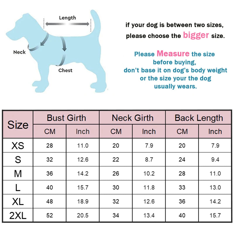 CozyPaws Winter Dog Jacket