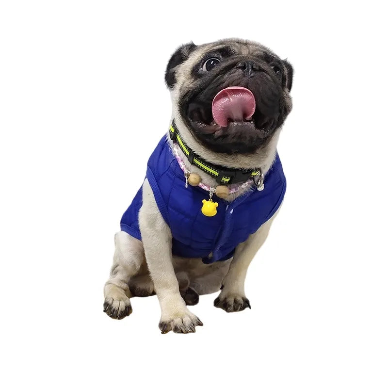 CozyPaws Winter Dog Jacket