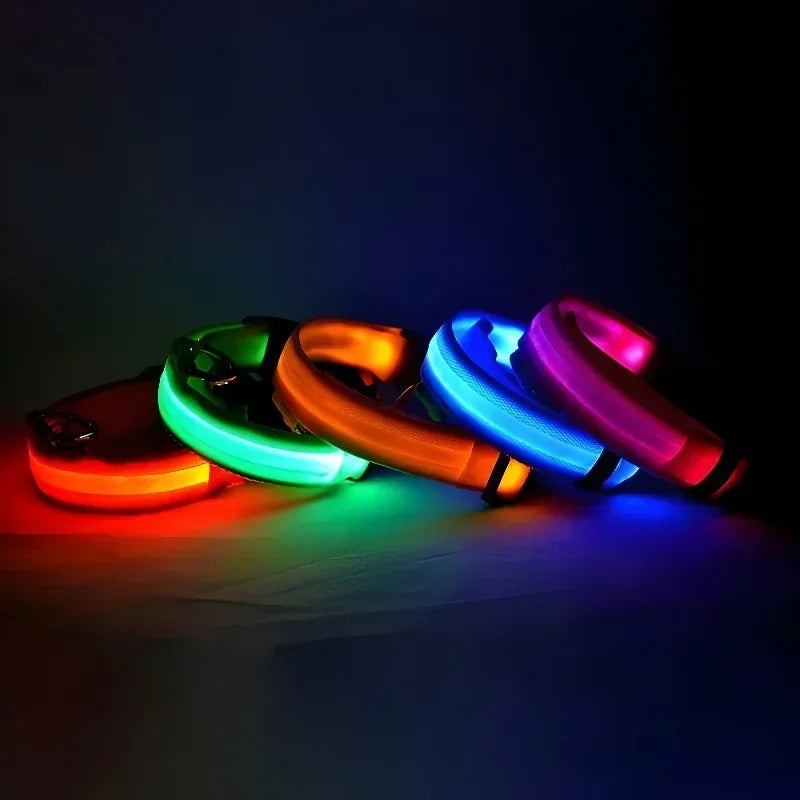 FlashPaws Glow in the Dark Collar