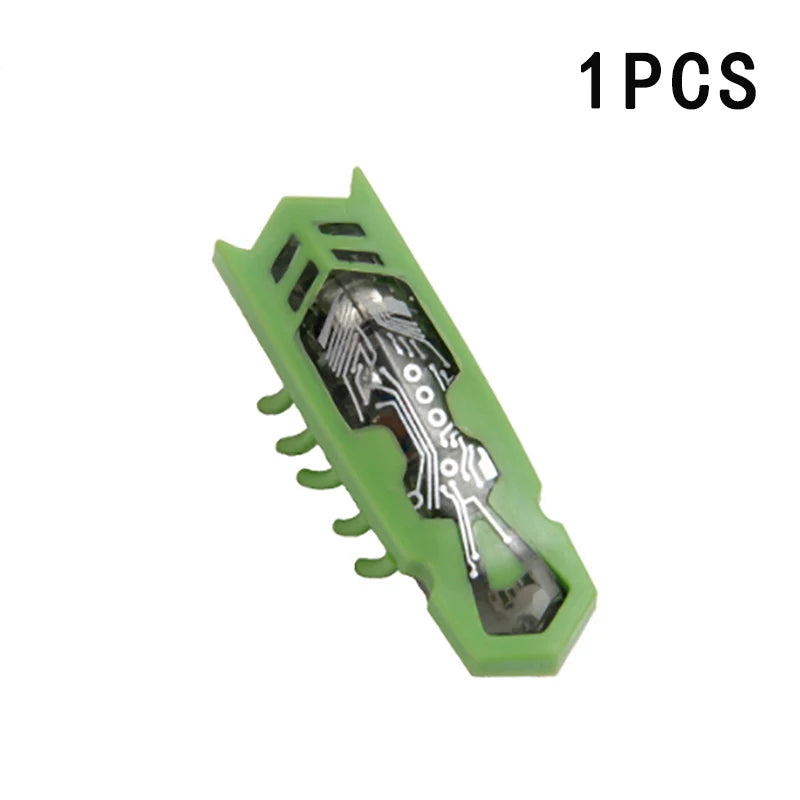 Interactive Electric Beetle Toy for Cats