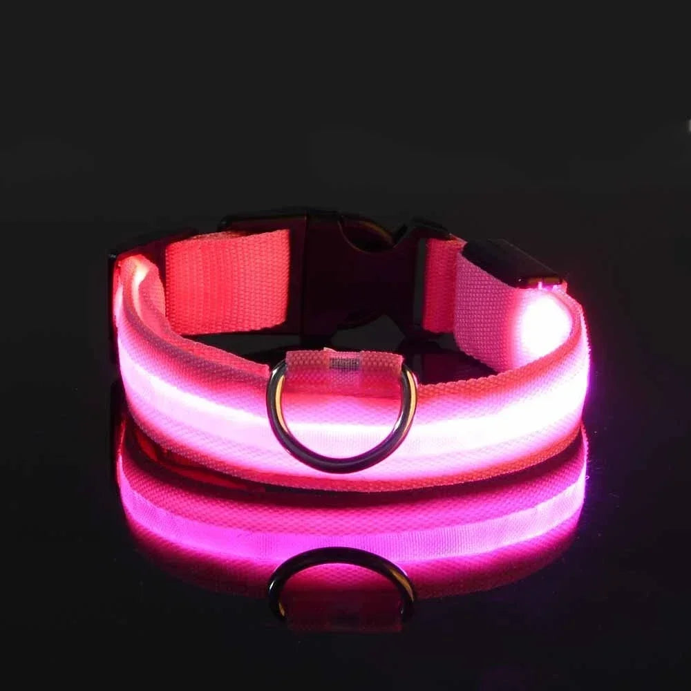 FlashPaws Glow in the Dark Collar