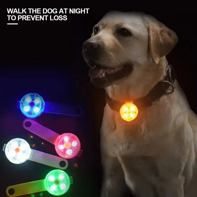 LED Pet Tracking Pendant – USB Rechargeable Safety Light