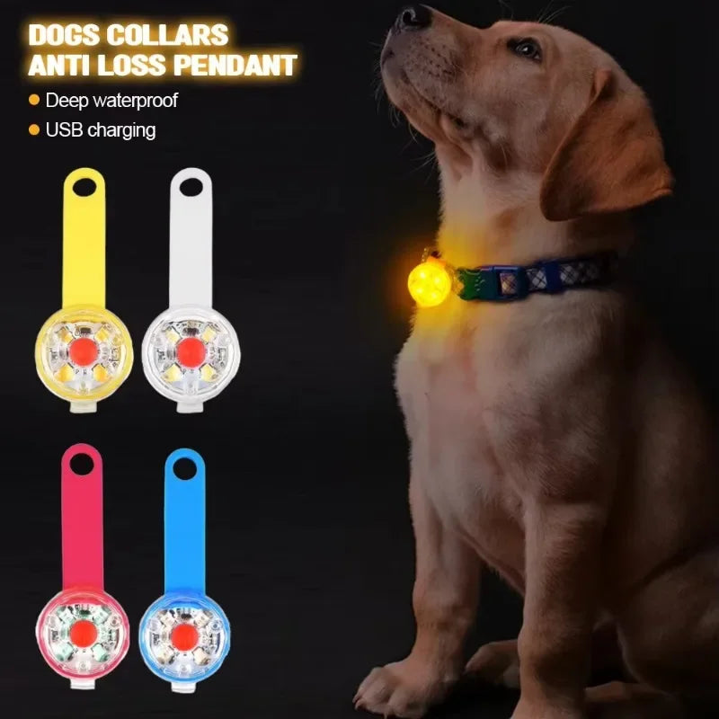 LED Pet Tracking Pendant – USB Rechargeable Safety Light