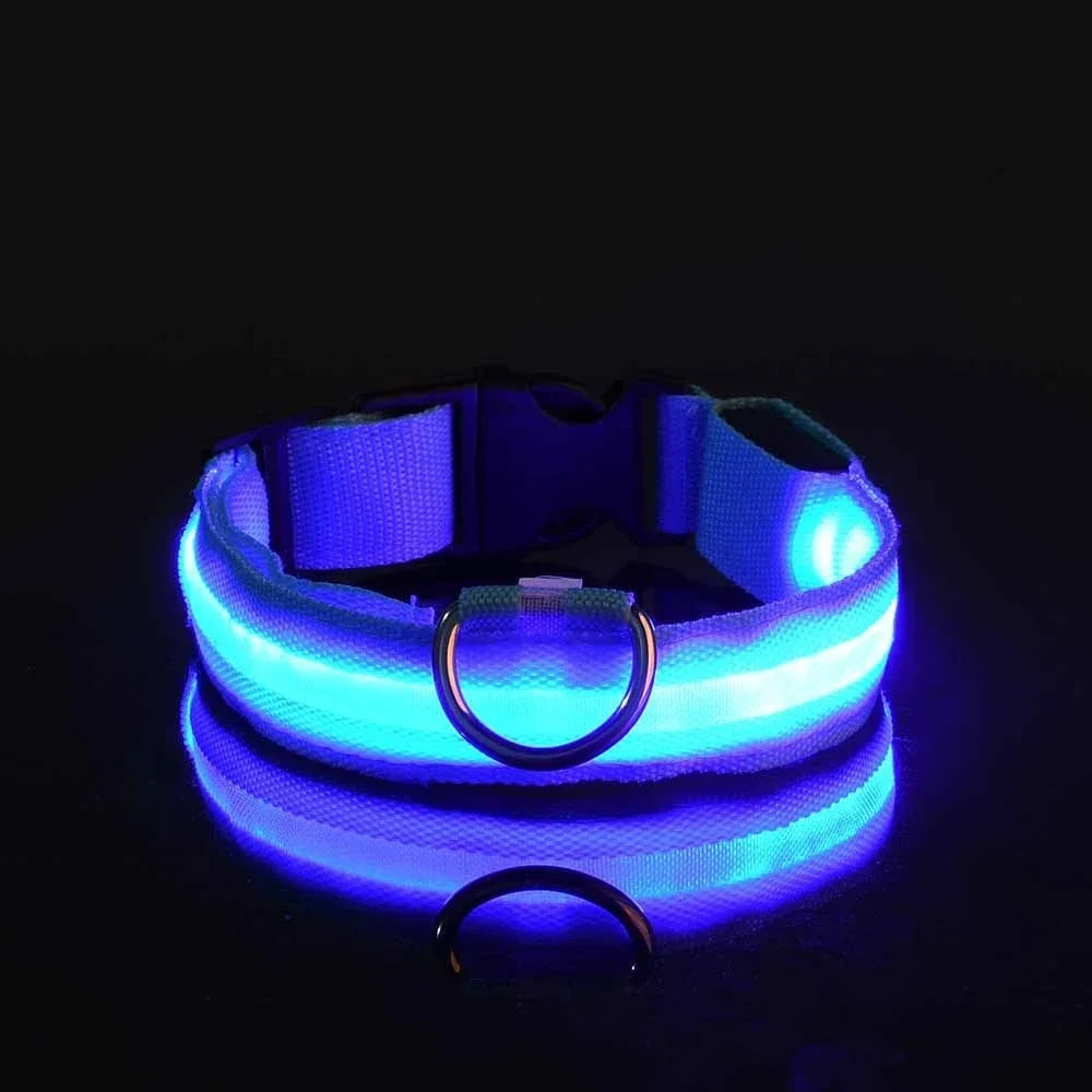 FlashPaws Glow in the Dark Collar