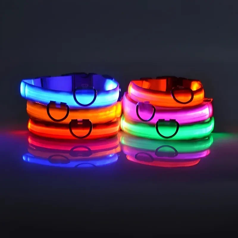 FlashPaws Glow in the Dark Collar