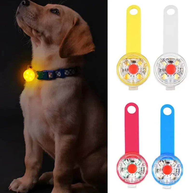 LED Pet Tracking Pendant – USB Rechargeable Safety Light