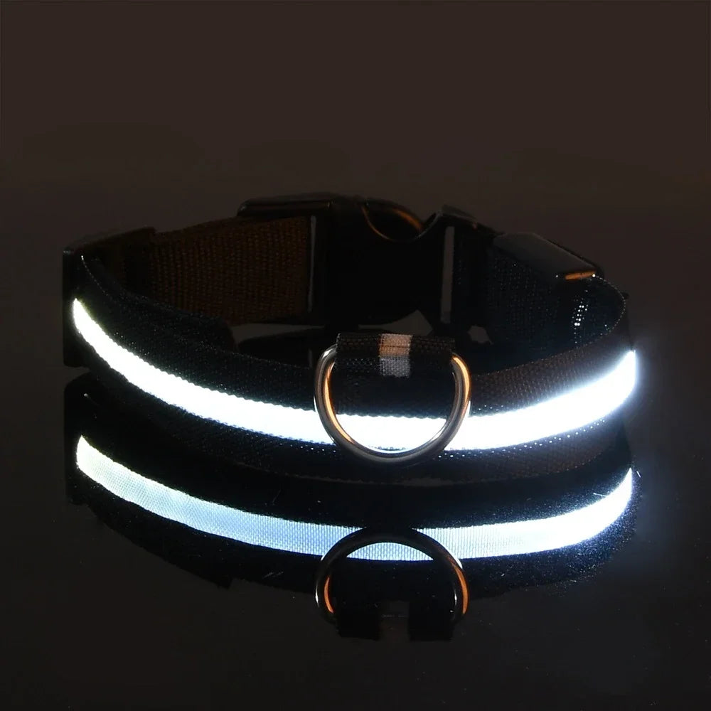 FlashPaws Glow in the Dark Collar