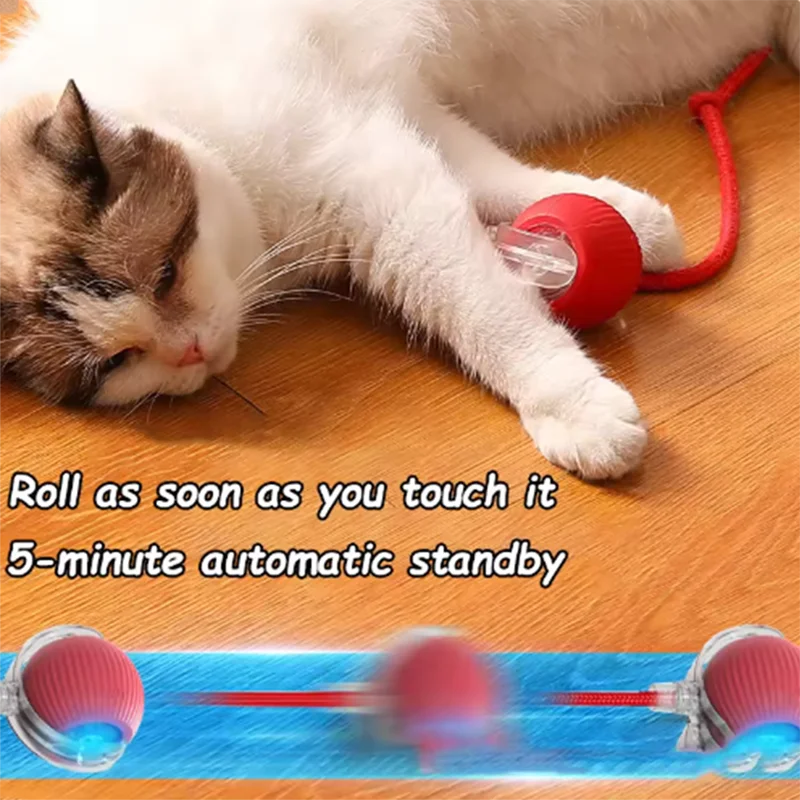 PurrPlay Automatic Cat Toy