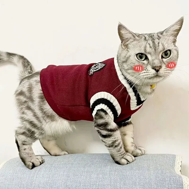 Winter Pet Sweater – Cozy & Stylish