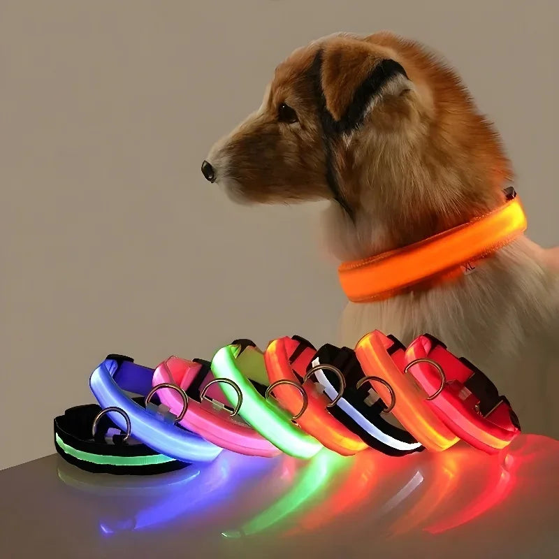 FlashPaws Glow in the Dark Collar