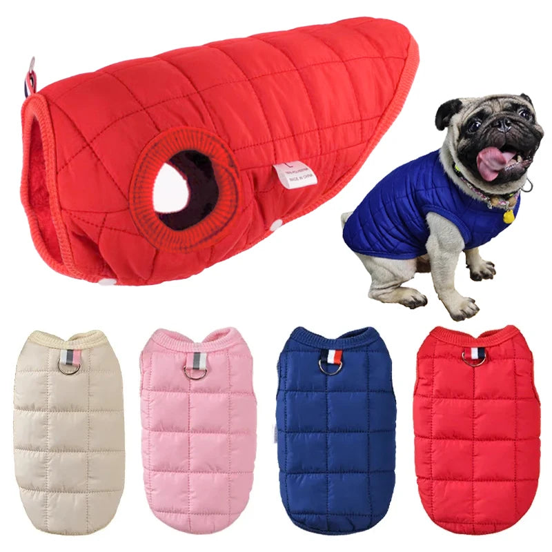 CozyPaws Winter Dog Jacket
