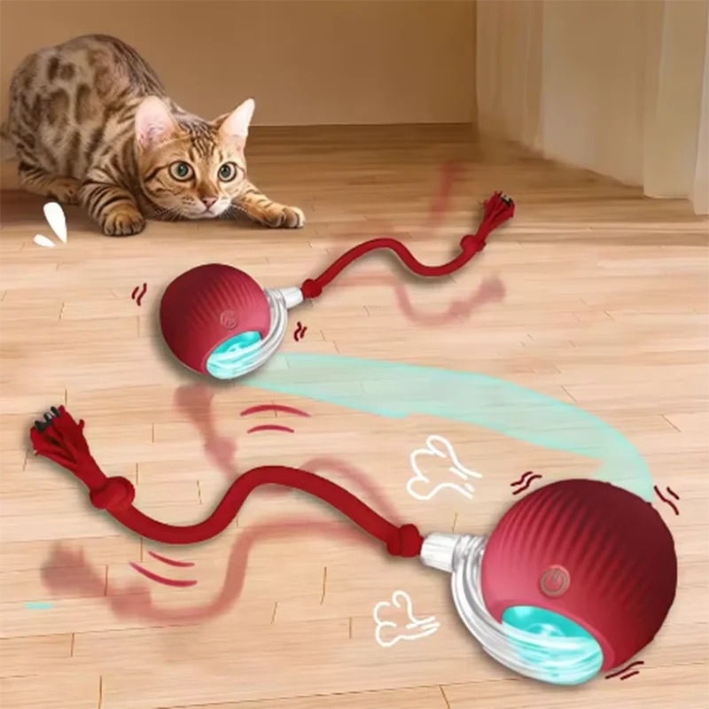 PurrPlay Automatic Cat Toy