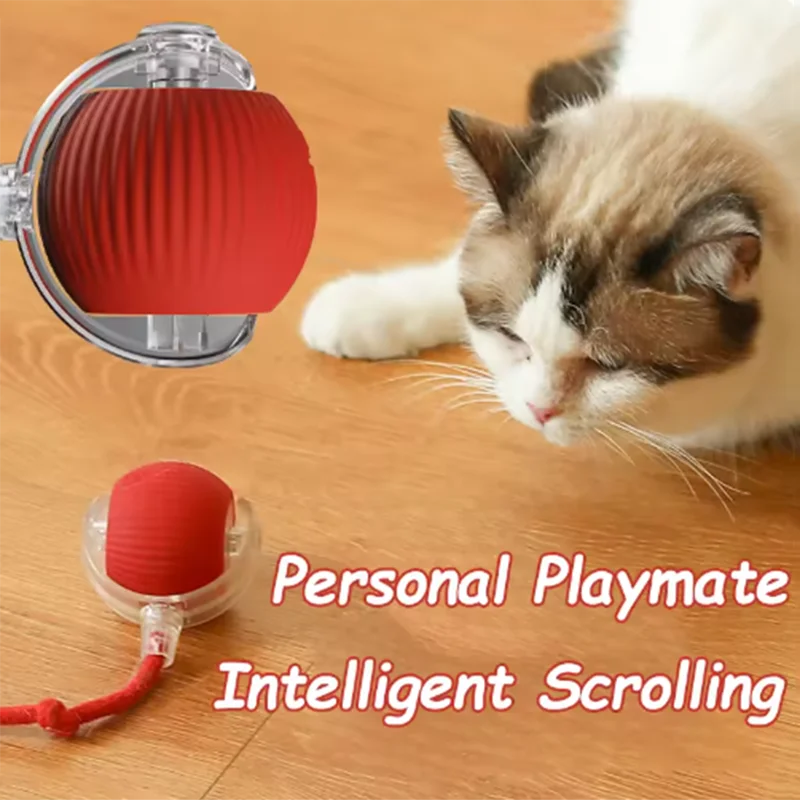 PurrPlay Automatic Cat Toy