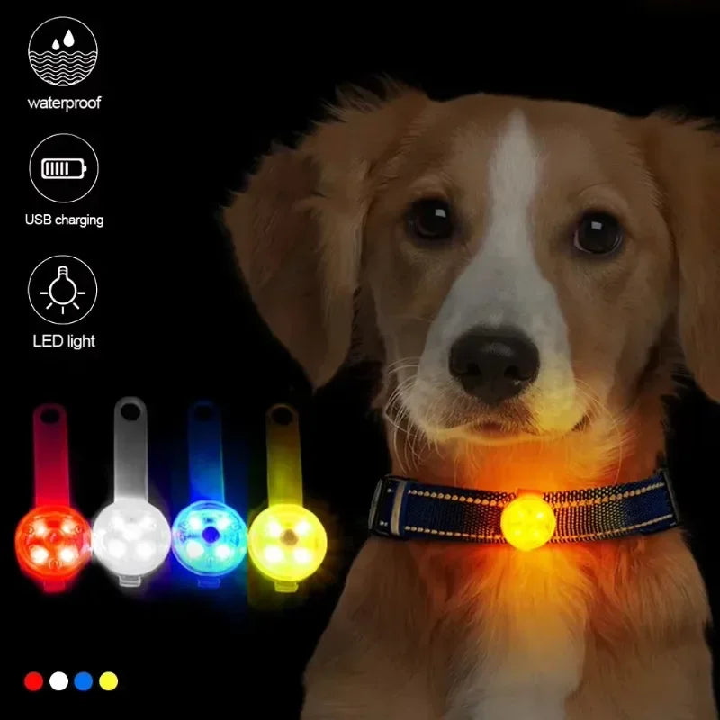 LED Pet Tracking Pendant – USB Rechargeable Safety Light