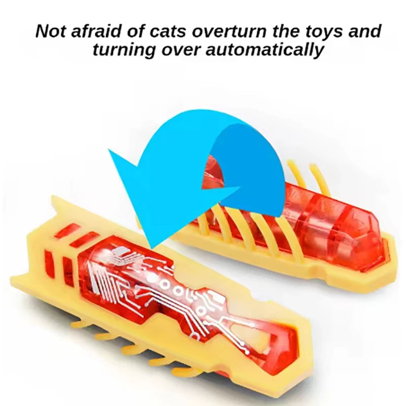 Interactive Electric Beetle Toy for Cats