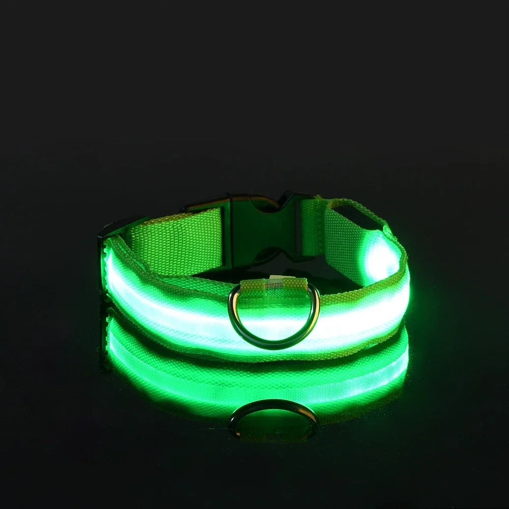 FlashPaws Glow in the Dark Collar