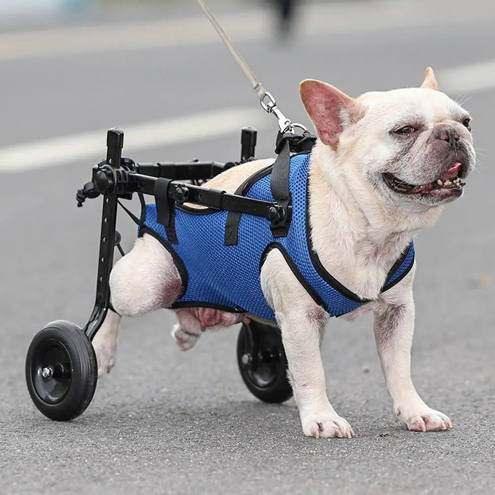 PawMotion Adjustable Pet Wheelchair